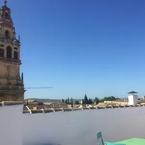 Entre 2 Mezquitas 8 Apartamento Córdoba